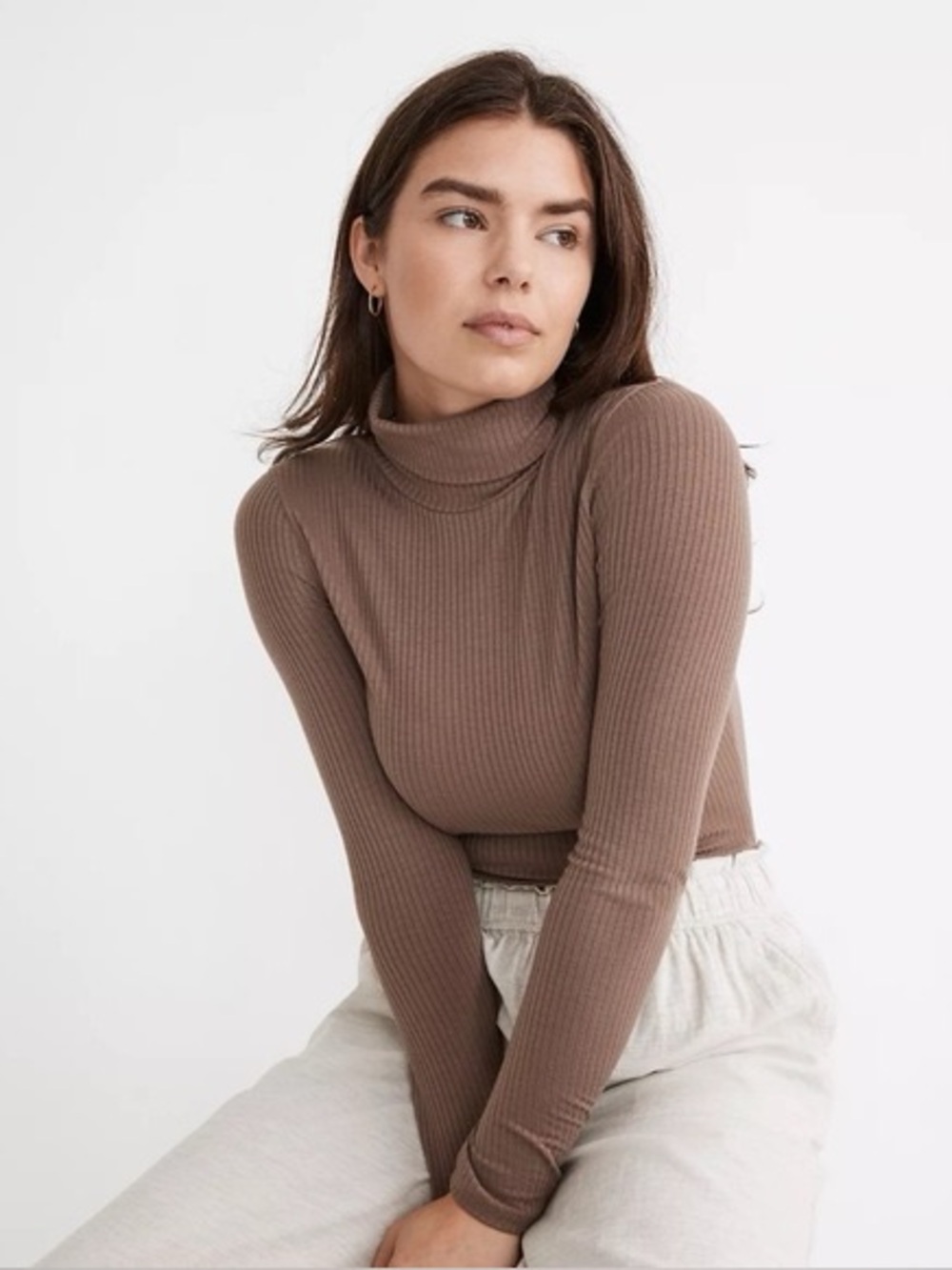 Madewell Brown Ribbed Turtleneck Sweater